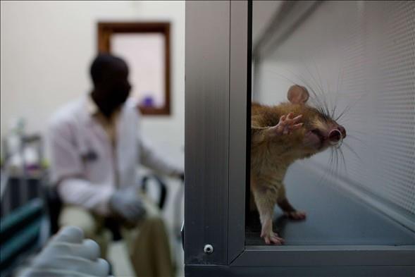 Bakmlar da zel yaplyor