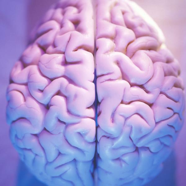 Solucan kardktan sonra Alvarezin hibir salk sorunu kalmad.Solucann beyinde ortaya kmas imdiye kadar hi rastlanmamsa da zellikle mide ve barsaklarda solucan ve tenyaya sk rastlanr.Bu durum da yine pimemi et yemekten kaynakl olabilir