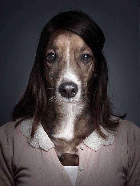 Sahiplerinin kyafetlerini giyin