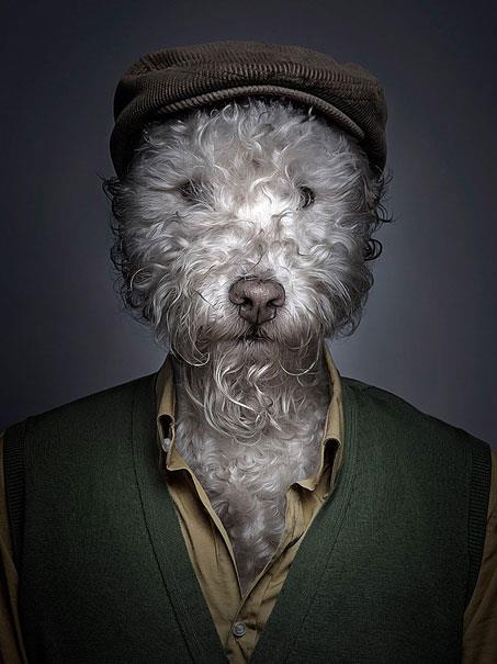 Sahiplerinin kyafetlerini giyin