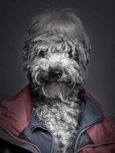 Sahiplerinin kyafetlerini giyin