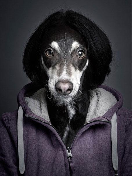 Sahiplerinin kyafetlerini giyince