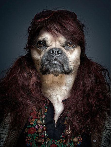 Sahiplerinin kyafetlerini giyin