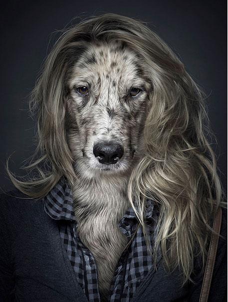 Sahiplerinin kyafetlerini giyin