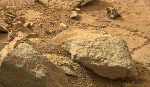 Yoksa bu bir uzay iguanas m!