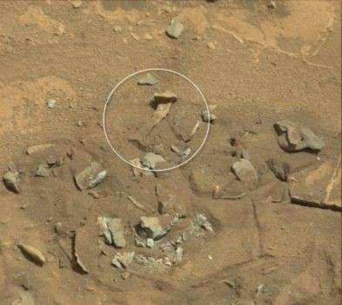UFOBlogger.com NASA arac Curiosity'nin Mars'tan gnderdii fotoraflar inceledi ve ilgin bulgulara ulat. Siteye gre bu fotoraftaki kemik.