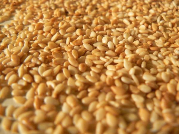 Cilt sal iin nemlidir. Cildin yalanmasn engellemeye yardm eder.