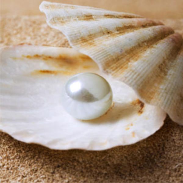 nciler sirkede erir.