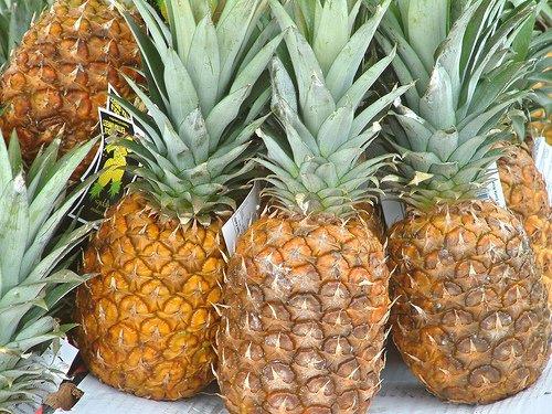 <p><b>ANANAS:</b></p> Ananasn iindeki "bromelain" maddesi tmr hcre geliimini dorudan durduruyor. zellikle de akcier, barsak, yumurtalk ve cilt kanserlerinde tmrl hcrelerin bymesini engelliyor.