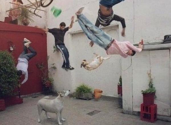 te o karelerin perde arkas