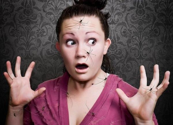 Mao erkekler, dier yandan, avlanrken kimi riskleri gze almak zorundayd, bu yzden rmcek grnce korkuya kaplmalar ok faydal olmayacakt.