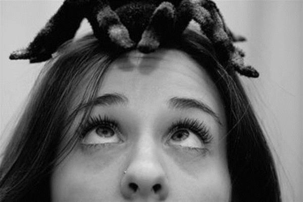 Evolution and Human Behavior'da yaynlanan bir aratrmaya gre Pittsburg?daki Carnegie Mellon niversitesi?nden David Rakison,11 aylk bir kz ocuunun rmcek ve ylan figrlerini korku dolu yz ifadeleri ile ilikilendirmeyi hemen rendiini kaydetti