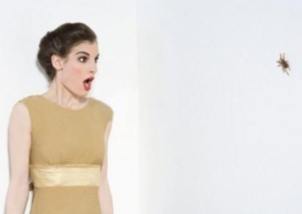 Ama erkek ocuklarn bunu yapmadn kefetti.Evrimsel perspektiften bakldnda, mantkl geliyor nk kadnlar yiyecek toplarken bu trlerle daha sk karlayordu diyor Rakison. Ve lk faktr de anne ve bebei gvende tutmak iin geerli yntem