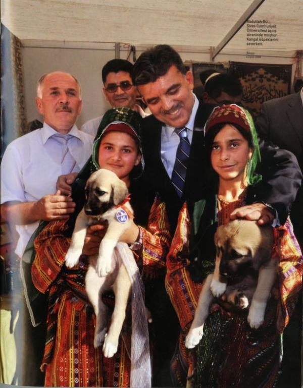 Abdullah Gl, Sivas Cumhuriyet niversitesi al treninde mehur Kangal kpeklerini severken. (Sivas-4 Eyll 2008)