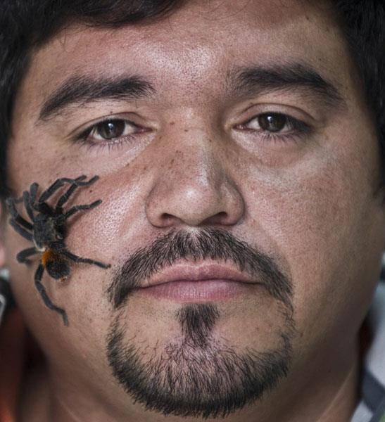 ili'de bir rmcek iftlii, evcil hayvan beslemek isteyenlere, etraf datmayan, pisliini temizlemek zorunda kalmayacanz hatta grlt bile karmayan bir alternatif sunuyor. Yaklak 25 yl yaayan tarantulalar, haftada bir iki kez canl bcek ya da solucanla beslenerek zahmetsiz bir bakm istiyor. Her yl sra d evcil bir hayvan beslemek isteyen 30 bin kiinin rmcek sipariini internet zerinden karlayan rmcek iftliinde ortalama bir tarantulann fiyat ise 25 dolar.