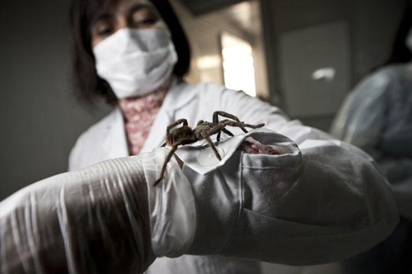 ili'de bir rmcek iftlii, evcil hayvan beslemek isteyenlere, etraf datmayan, pisliini temizlemek zorunda kalmayacanz hatta grlt bile karmayan bir alternatif sunuyor.