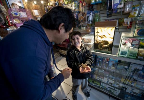 ili'de bir rmcek iftlii, evcil hayvan beslemek isteyenlere, etraf datmayan, pisliini temizlemek zorunda kalmayacanz hatta grlt bile karmayan bir alternatif sunuyor.
