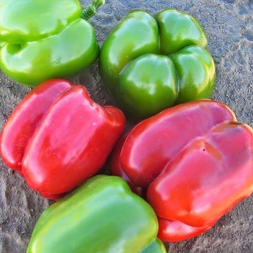 <br><b>Krmz, sar ve turuncu dolmalk biberler: </b></br>  Yeil renkli olanlar henz tam olgunlamam olduundan sindirimi kolay deildir. Ancak dier renkli dolmalk biberler lif ve sindirime yardmc mineraller asndan olduka zengindir. Salatalarnzda, yemeklerinizde ve dolmalarda kullanabileceiniz bu biberler hem nlerinize renk katacak hem de sindiriminizi kolaylatracak.