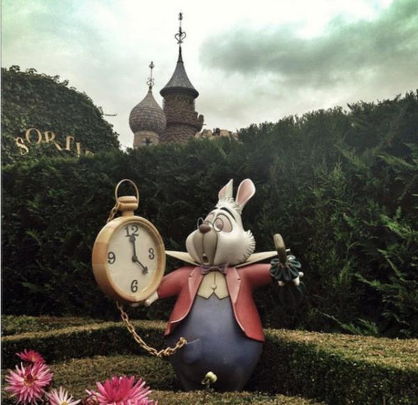 RN BAYLGEN  Alice'i ok iyi anlyorum