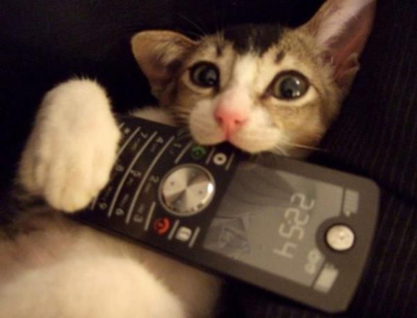 S1: Kiminle gryorum?   <br>S2: Kimi aramtnz?</br>