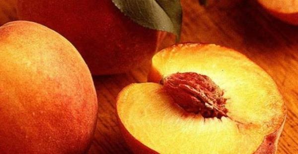 nsanlar iin bu oran gnde 2-3 eftaliye denk gelmektedir bu da gn iinde yenilebilecek makul bir miktardr