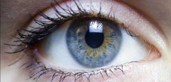 Vcutta A vitaminine dnr