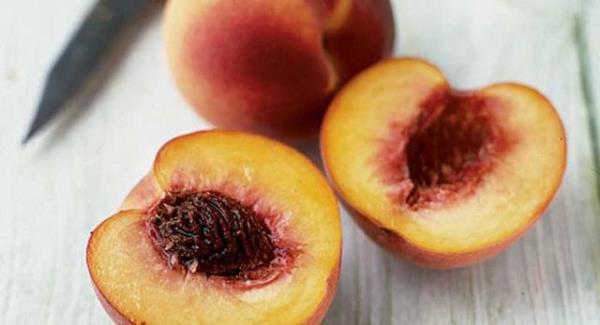 Potasyum ve dier vitamin konsantrasyonlar sayesinde karacier ve bbreklerden zararl toksinleri dar atmada yardmcdr