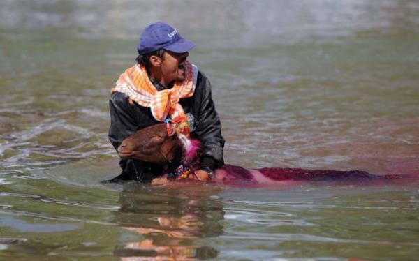 Gelenein 8 asrdr srlmesinde katks olanlara teekkr eden Akcan, "Trkiye'de sadece Denizli'de yaatlan bu gelenein UNESCO Dnya Miras Listesi'ne alnmas iin 3 yl nce bavuruda bulun. UNESCO listesine girersek, spanya'daki boa greleri gibi dnyada bilinirliini arttrmak iin alacaz. Bu gelenekle al'da turizmi canlandrmay hedefliyoruz" diye konutu.
