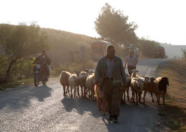 al Belediye Bakan Fethi Akcan, gazetecilere yapt aklamada, gelenei yaatmak iin srdrlen yarmaya ilgiden memnun olduklarn dile getirdi.