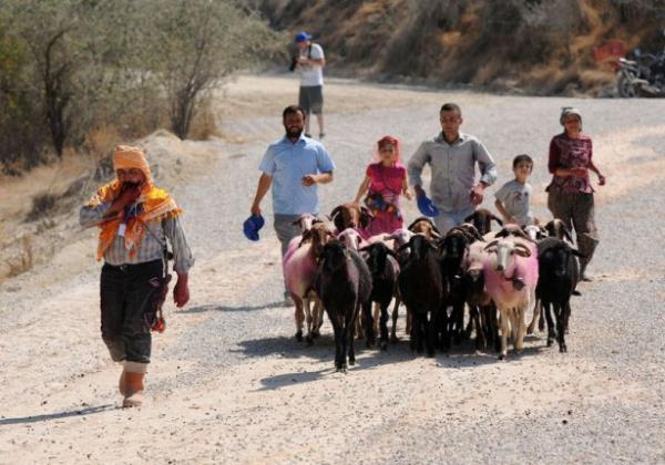 <br><b>Yarmann hikayesi</b></br>  Aaseyit kynde her yl dzenlenen yarmaya ilham olan efsane ise yle:  "Karakoyunlu airetinden bir kii, al yresine yerleen Ouz beylerinin birine oban olur. Yrede ksa srede ok sevilen oban, beyin kzyla aralarnda gelien ak zerine, beyden kzn ister. Kzn vermek istemeyen bey, obana gerekletirmeyeceini dnd bir grev vermek ister ve evlenmeleri iin 'koyunlara 3 gn boyunca tuz yedireceksin ve Byk Menderes Nehri'nden su iirmeden karya geireceksin' artn koar. art kabul eden oban, imkansz gibi grneni baarr ve koyunlar su iirmeden nehirden geirir.