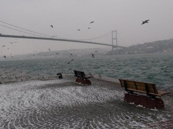 Dar karken dikkatli olun: Souk ve rzgrl gnlerde az ve burnunuzu bir atkyla kapatn. ayet astm hastasysanz Polen ve kf alerjiniz varsa, polen ve kf dzeylerinin yksek olduu zamanlarda sokaa kmamaya aln Hava raporlarn takip edin.