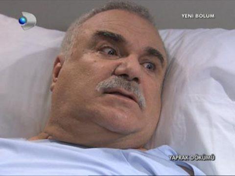 Yaprak Dkm - Ali Rza Bey