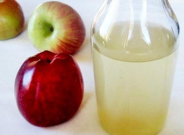 Dileri leke yapan bakterilerden temizleyip az ve di salnda nemli rol oynar. Bunlar elma, havu, karnabahar ve armut olarak saylabilir.