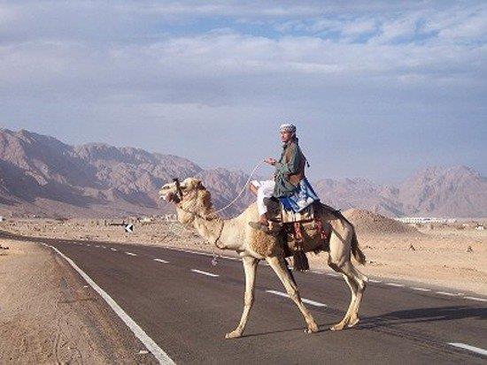 <br><b>Luksor-El Hurhada Yolu</b></br>  Msr?n iki turizm merkezini, Luksor?u El Hurhada?ya balayan yol dnyann en tehlikeli yollarndan biri.