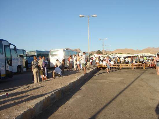 Ancak genellikle tenha olan yolu tehlikeli yapan yolun fiziki durumu deil, yolcularn her an burun buruna kalabilecei eteler.