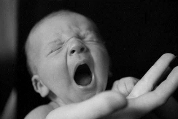 Ferguson, olu Ted'le birlikte stdyoya girdiinde bata her ey normal gidiyordu.