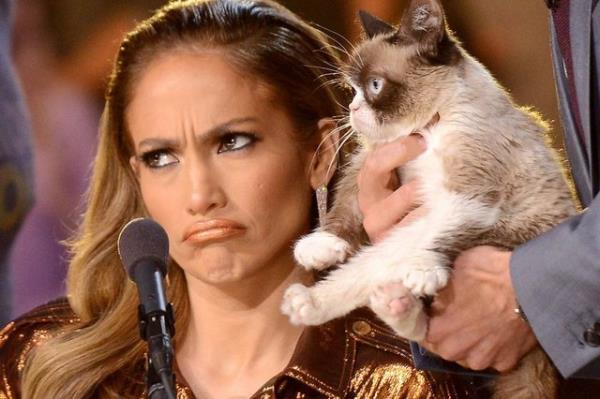 Huysuz kedi Tardar Sauce