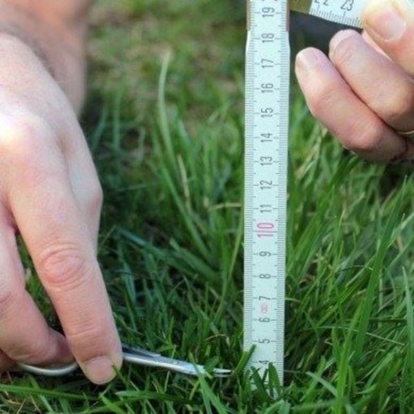 Gereki olun. Hedeflerinizi belirleyin ve zaman ayarnz doru yapn. Onlarca paraya blnmeyin. Tek bir ii sakince yapn, sonra baka ie gein.