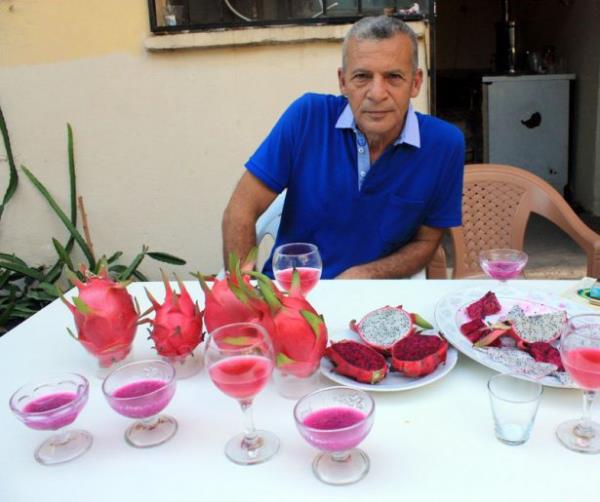 Tanrverdi, 1.5 dnmlk ak arazide yetitirdii Pitaya'nn ilk hasadnda 7 bin 270 lira, ikinci hasadnda 78 bin lira, nc hasadnda ise 157 bin 180 lira net kr elde ettiini duyurdu.