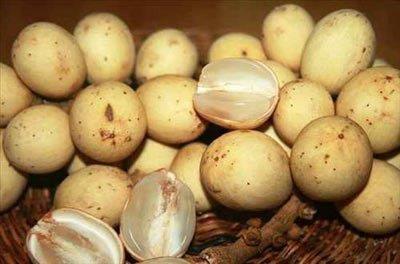 <b>Duku:</b> Lungsat ve duku iki benzer meyvedir, tatlar ayndr. Bir tek farklar vardr ; lungsat'n kabuu latex maddesi ierir. Zehirli deildir, sadece meyvenin kabuunu yapkan hale getirir. Dukunun ise kabuu yakan deildir ve soymas ok daha kolaydr. Meyvenin eti 5 katmandan oluur. ekirdeklerinin bazlar acdr. ok tatl bir meyvedir, urubu yaplabilir ya da kurutulup da tketilebilir.