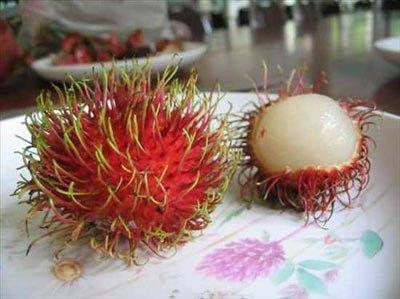 <b>Rambutan:</b> Dardan baknca tyl ilee benzeyen rambutan, tat olaraksa Lii olarak da bilinen kral meyvesine benzer. Asya'nn gneydousuna has bir aatr, ama kk ve daha yabani meyveli hali Kosta Rika'da da bulunur. Oval eklindedir ve genelde 10 santime kadar genileyebilen meyveleri vardr. Hafif serttir ama kolayca soyulabilir. Eki ya da tatl olabilir.