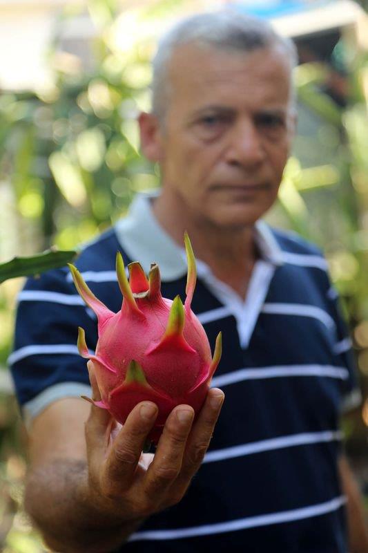 Avrupa'da tanesi 12 dolardan satlyor. u an rn stanbul'a gnderiyoruz. retim arttka ihracata yneleceiz."