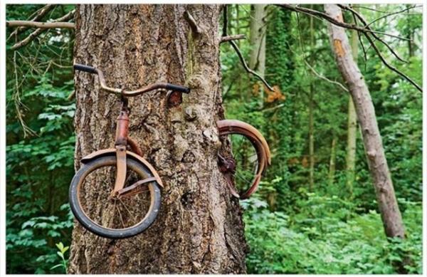 Aacn iinde hapis kalm terkedilen bisiklet