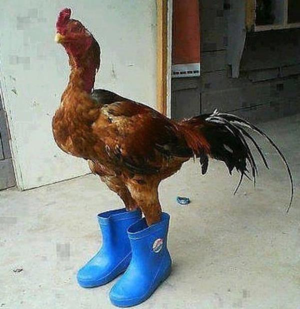 6.Giydii acayip izmeyle antiyede alyor imaj veren kzlar