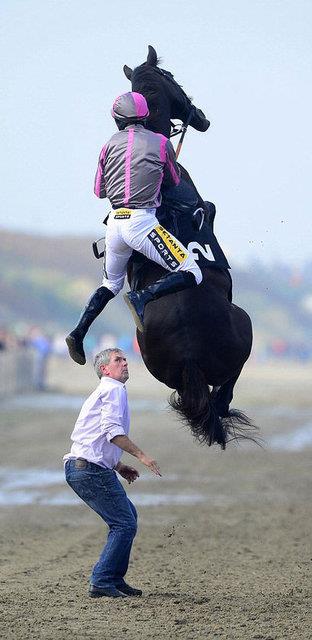 Bu korku dolu anlarda kimse yaralanmazken, o at yar 7. olarak bitirdi.
