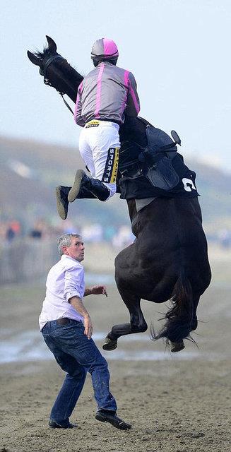 Seyirciyi bir anda karsnda bulan jokey, hzl bir manevra yapnca at aha kalkt.
