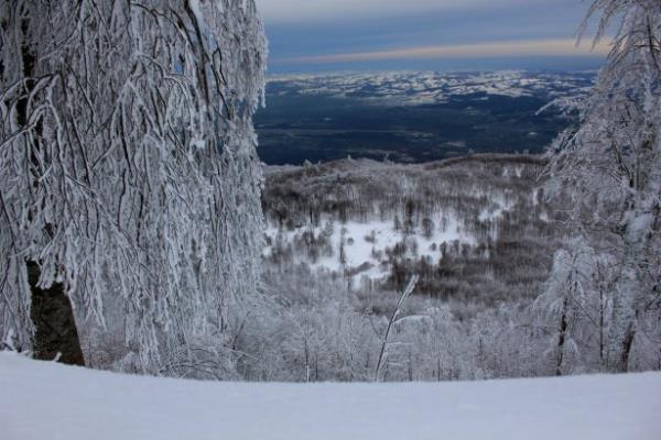 <br><b>Kocaeli - Kartepe</b></br>  Yaplan meteorolojik almalara gre, Kuzeybat ynnden esen ve Karadeniz'i aarak kn blgeye youn ya getiren Karayel rzgarnn Marmara blgesinde ilk karlat Kartepe'nin 1100 m stndeki yksekliklerine youn kar ya getiriyor.