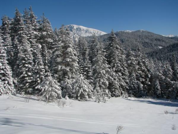 <br><b>Kastamonu - Ilgaz</b></br>  Kastamonu snrnda zirvesi 2850 metre olan Ilgaz Sradalar zerindedir.