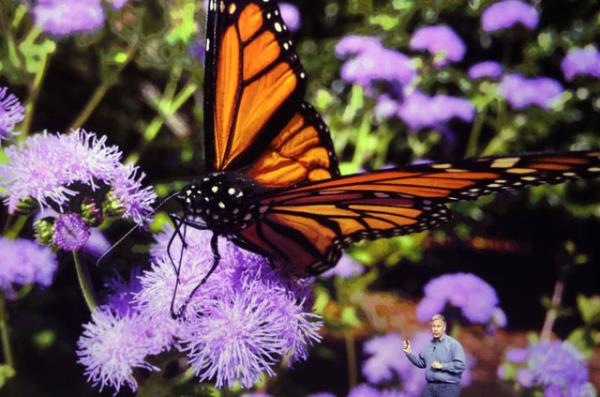 Bylece sizden baka kimse kredi kart bilgilerine eriemiyor. Cihazda bulunan NFC yongas ile gerekletirilen deme istenildii taktirde parmak izi teknolojisi yardmyla da yaplabiliyor.