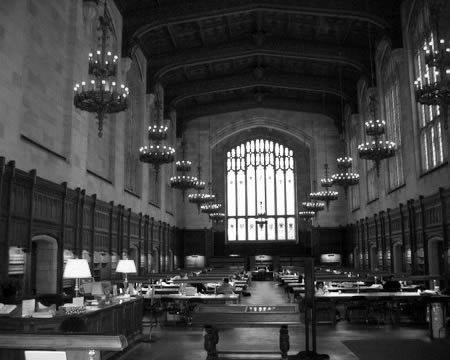 <p><b>Tm parasn politikaya, eitime ve sosyal kurumlara balayarak elindekileri tketen Janite Lee</b></p>  Bazen iyi niyetli olmak da yeterli olmuyor. Tpk 52 yandaki Janite Lee?nin durumunda olduu gibi. 1993 ylnda Janite, The Missouri Lottery?den 18 milyon dolar kazand. Gney Koreli gmen, hemen elindeki paray eitim programlar, sivil toplum rgtleri ve siyasi kurumlara datmaya balad. Milyon dolarlk ev ve arabalara ek olarak Washington niversitesi?ne 1 milyon dolar balad biliniyor ve burada onun adn onurlandrmak iin bir okuma odas bulunuyor. Bunun dnda Lee, Demokrat Partiye 277.000 dolar balayarak, Bill Clinton, Al Gore ve hatta Gney Kore Bakan ile beraber yemek yedi. Lee?nin harcamalar bunlarla da kalmyor. Janite, 30.000 dolar da vefat eden Gney Koreli bir kilise papaznn ailesine balad ve The St. Louis Korean American Association?a bir ev ald. Bunlara bir de kumarda 1 ylda kaybettii 347.000 dolar, banka kredileri, kredi kart borlar eklenince tam bir felakete srklenerek 2001'de tamamen iflas etti...